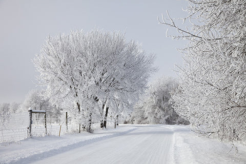 Snowy Road